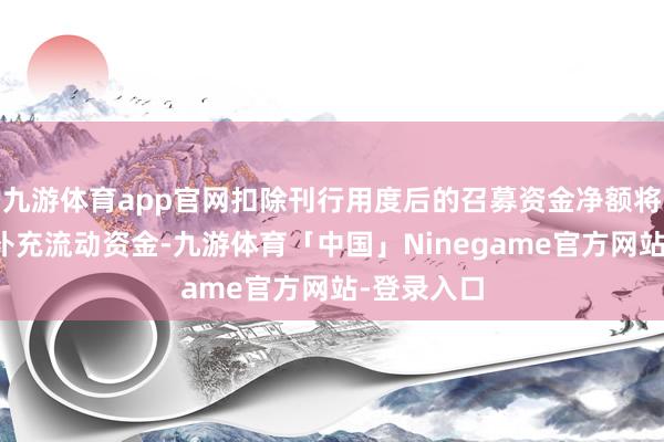九游体育app官网扣除刊行用度后的召募资金净额将一升引于补充流动资金-九游体育「中国」Ninegame官方网站-登录入口