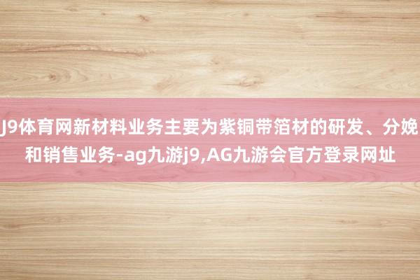 J9体育网新材料业务主要为紫铜带箔材的研发、分娩和销售业务-ag九游j9,AG九游会官方登录网址