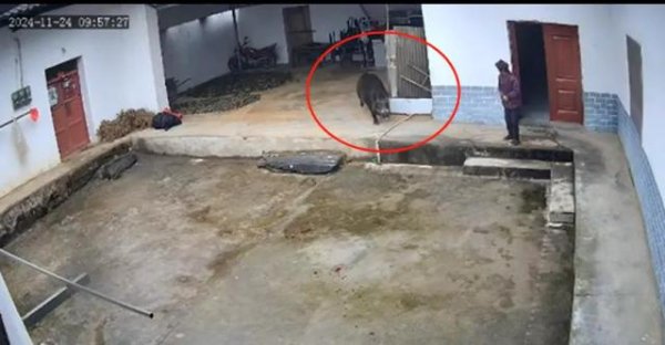 九游体育app娱乐岚皋县 110 接警东说念主员告诉《正在新闻》-九游体育(Nine Game Sports)官方网站 登录入口