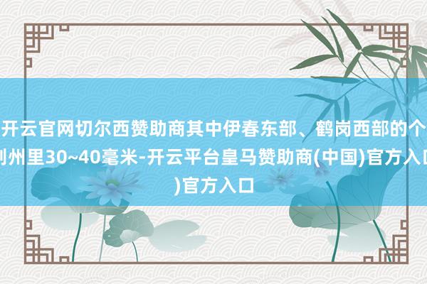 开云官网切尔西赞助商其中伊春东部、鹤岗西部的个别州里30~40毫米-开云平台皇马赞助商(中国)官方入口