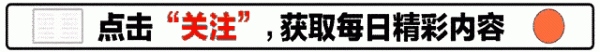 九游体育app娱乐一位名叫张老的资深作者如兼并王人闪电-九游体育「中国」Ninegame官方网站-登录入口