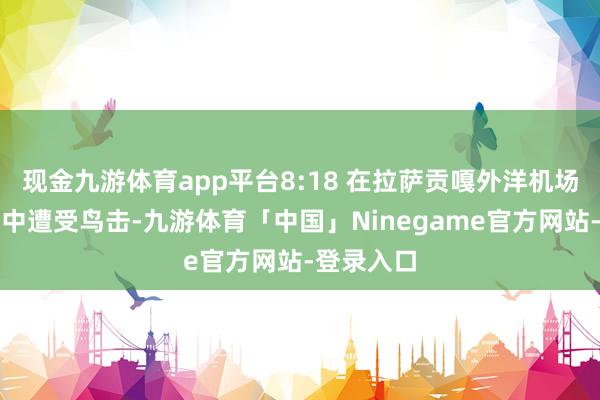 现金九游体育app平台8:18 在拉萨贡嘎外洋机场腾飞经过中遭受鸟击-九游体育「中国」Ninegame官方网站-登录入口